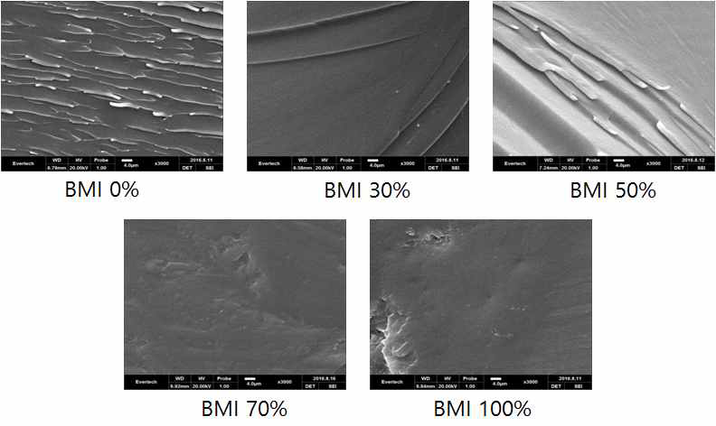 BMI 함량에 따른 SEM 이미지