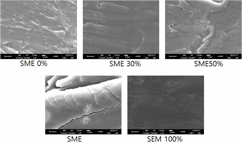 실리콘 변성 에폭시 함량에 따른 SEM 이미지