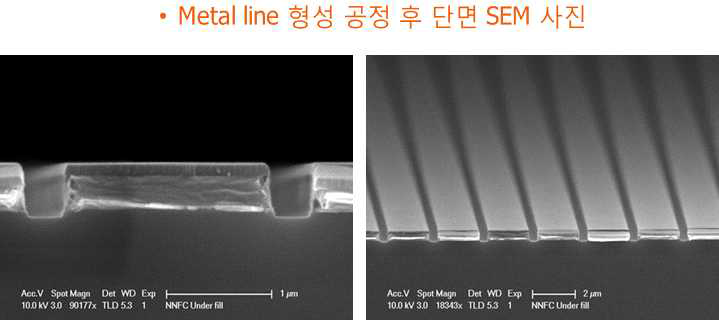 Metal line 단면 SEM 사진