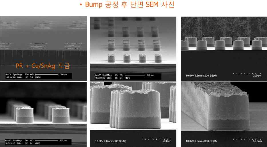 Bump 공정 후 단면 SEM 사진