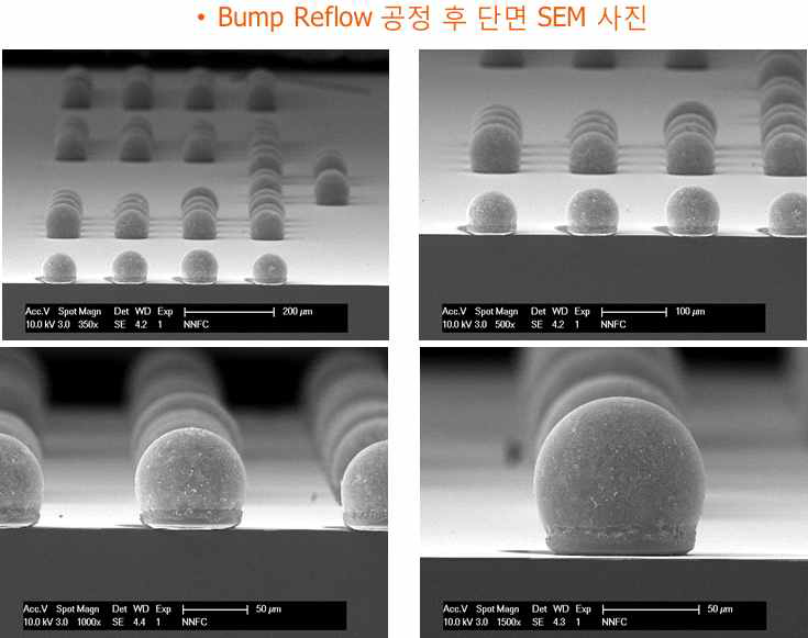 Bump Reflow 후 단면 SEM 사진