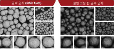 절연코팅 전후 금속 입자 SEM-BSE image