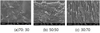 Bisphenol A & 부타디엔 변성 에폭시 하이브리드 SEM 이미지