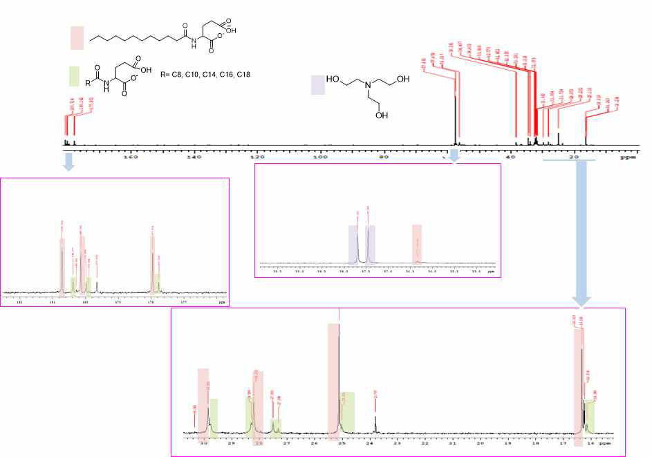 코코넛 유래 지방산(C12)과 glutamic acid 반응물의 13C NMR 스펙트럼