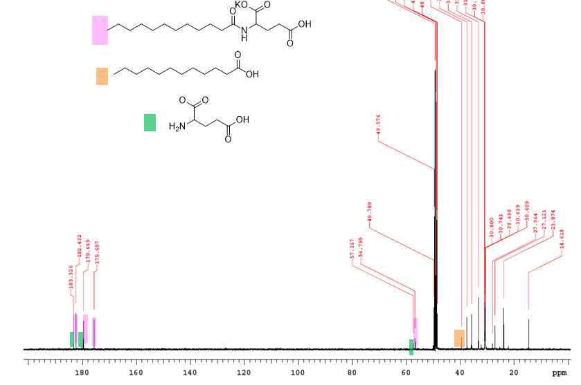 아미노산 지질계 시료 CTK30의 13C NMR 스펙트럼