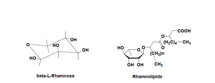 rhamnose와 rhamnolipids의 구조