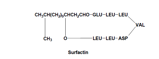 sufactin의 구조