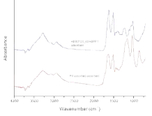 팔라듐 흡착 전·후의 흡착제 FT-IR 스펙트럼