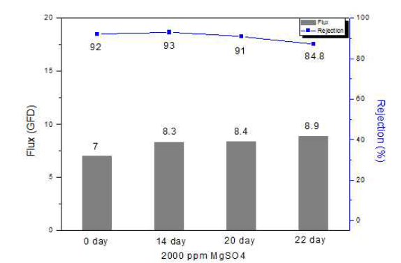 PIP 1 wt% SMF 0.3 wt% S.A 0.3 wt% NF 분리막 내산성 평가