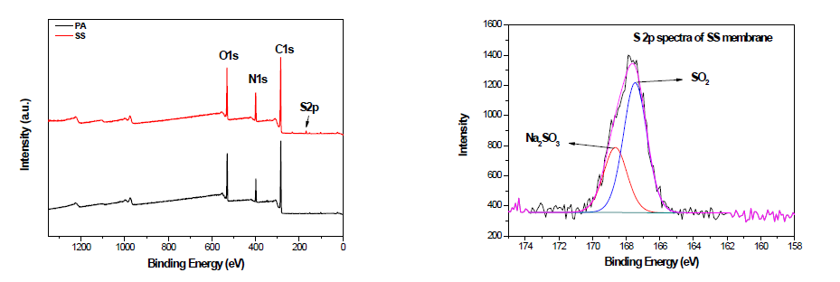 NF 분리막의 XPS 분석 (a) XPS survey spectrum (b) S2p fitted curve