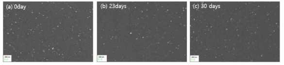 ASNF-3 NF 분리막의 FE-SEM (a) 황산 침지 0일, (b) 23일 후, (c)30 일 후