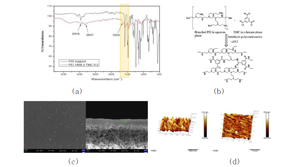 (a) FTIR, (b) 폴리에틸렌이민 기반 반응식, (c) FESEM (50,000x), (d)AFM.