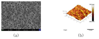 (a) 상온 황산 침지 70일 후 표면 FE-SEM 사진 (30,000x), (b) AFM 분석