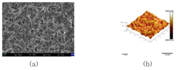 (a) 35℃ 황산 침지 70일 후 표면 FE-SEM (30,000x), (b) AFM.