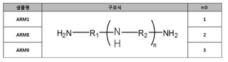 신규 아민 모노머