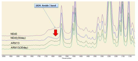 표면 구조 분석(FTIR)