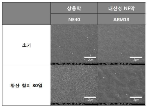 표면 모폴로지 분석 (FE-SEM)