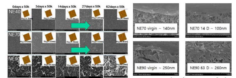 상용화된 나노여과막의 SEM/AFM 표면 및 SEM 단면 분석