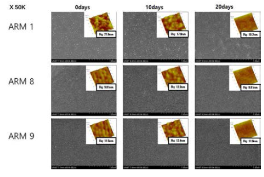 ARM 1, 8, 9의 SEM 및 AFM 분석