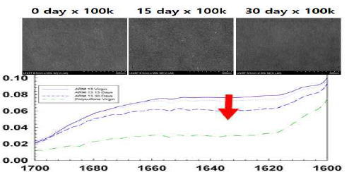 ARM 13 ATR-FTIR 및 SEM 단면 분석