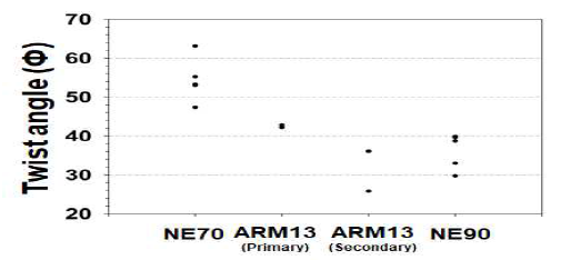 NE70/90 및 ARM13의 Twist angle 결과