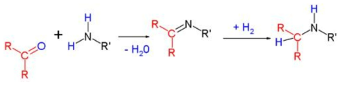환원성 아민화 반응 메카니즘