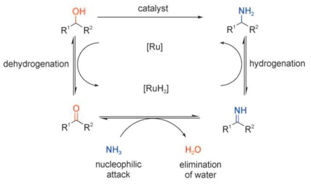 Hydrogen transfer methodology 메카니즘