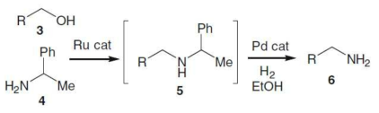 -Phenylethylamine 존재하에 Ru촉매와 Pd촉매를 통한 아민화 반응