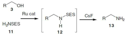 아민화합물의 존재하에 Ru촉매를 통한 아민화 반응 메카니즘