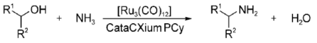 상압에서 NH3와 Ru촉매를 통한 아민화 반응 메카니즘