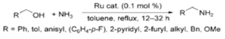 Reflux 공정이 필요한 NH3와 합성된 Ru촉매를 통한 아민화 반응 메카니즘