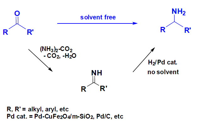 One-pot Solvent-free Amination of Ketones