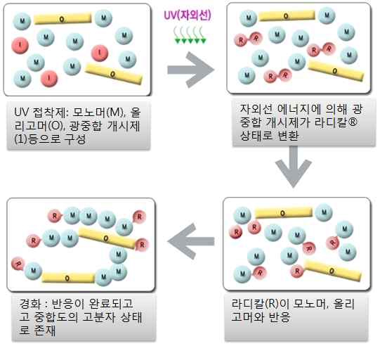 UV 경화 원리