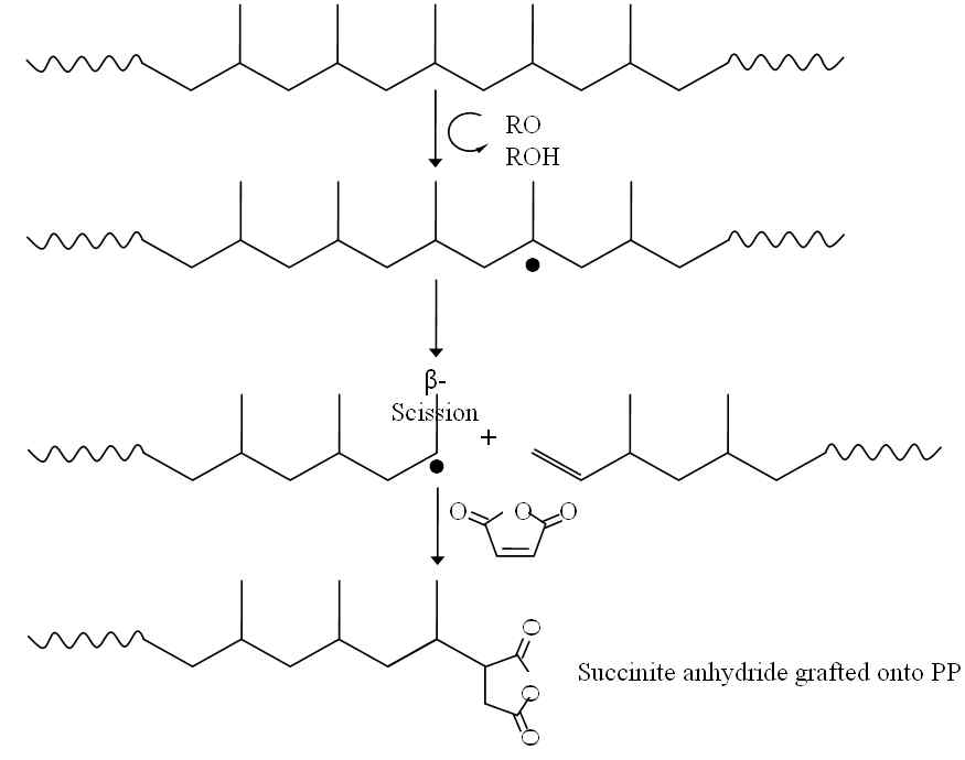 PP-g-MA제조를 위한 반응 압출 메커니즘