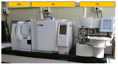 SVOC 분석 장비, GCMS/TD