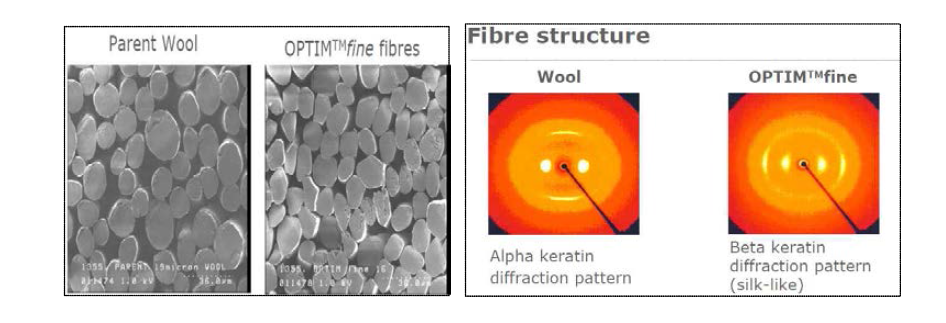 양모 연신전/후 SEM분석 및 X선 회절분석 사진