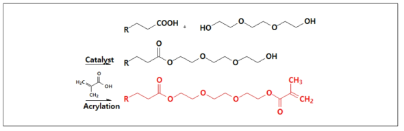 Diol류가 도입된 탄화수소계 모노머의 합성