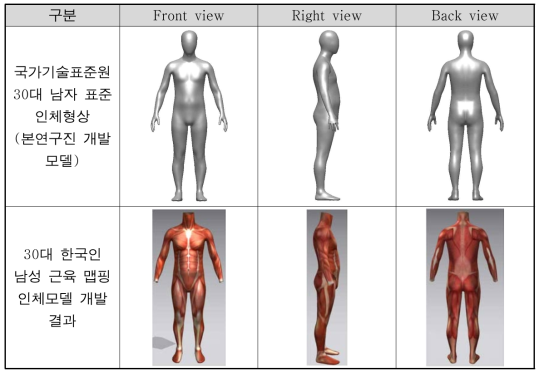 30대 표준 인체치수 및 형태를 보유한 근육 맵핑 인체모델 개발 결과