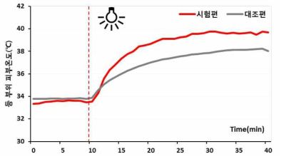 광원조사 시 등 부위 피부온도의 경시적 변화