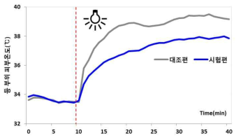 광원조사 시 등 부위 피부온도의 경시적 변화