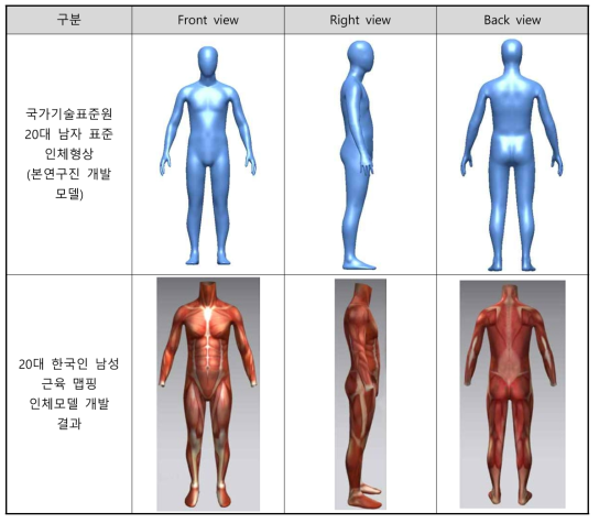 20대 표준 인체치수 및 형태를 보유한 근육 맵핑 인체모델 개발 결과