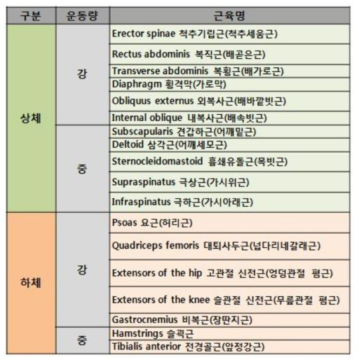 런닝 시 사용되는 주요 근육