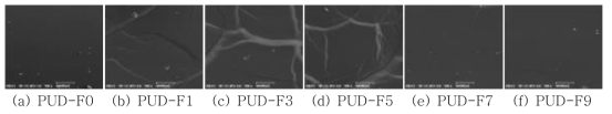아지리딘 가교제(1 %)로 가교시킨 PUD-F 필름들의 SEM 이미지