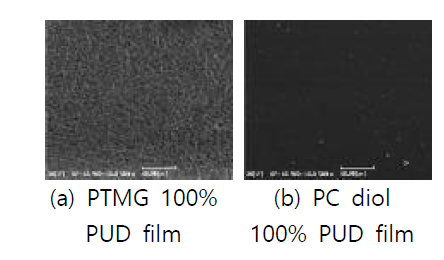 폴리올 종류가 다른 PUD 필름의 SEM 이미지