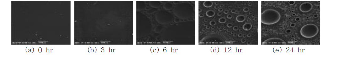 PC-PUD 필름(아래)을 120 °C에서 가수분해한 시료들의 SEM 사진