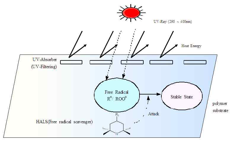 고분자의 자외선 흡수