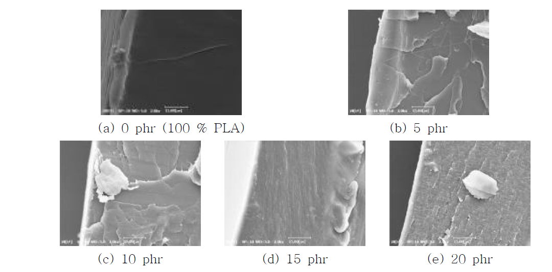 PC/TA 첨가량이 다른 PLA/PC/TA 필름들의 파단 면 SEM 사진