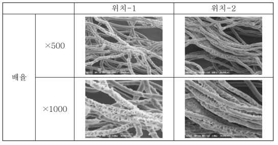 에탄올을 분무시킨 PLA 섬유의 표면 SEM 사진