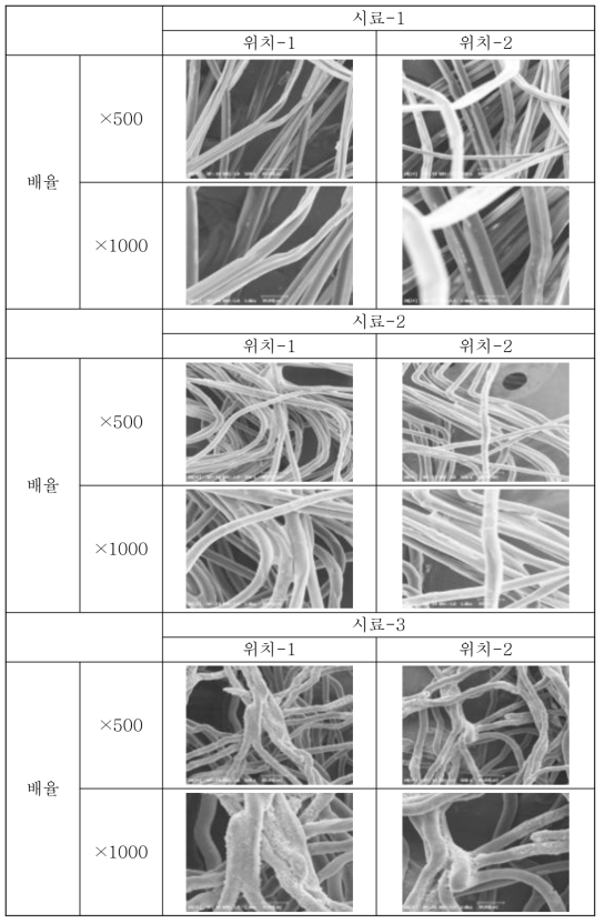 트리아세틴을 분무시킨 PLA 섬유의 SEM 사진