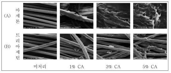 여러 가지 농도의 (A) CA 아세톤 용액 (B) CA 트리아세틴 용액으로 코팅한 PLA 섬유의 SEM 이미지